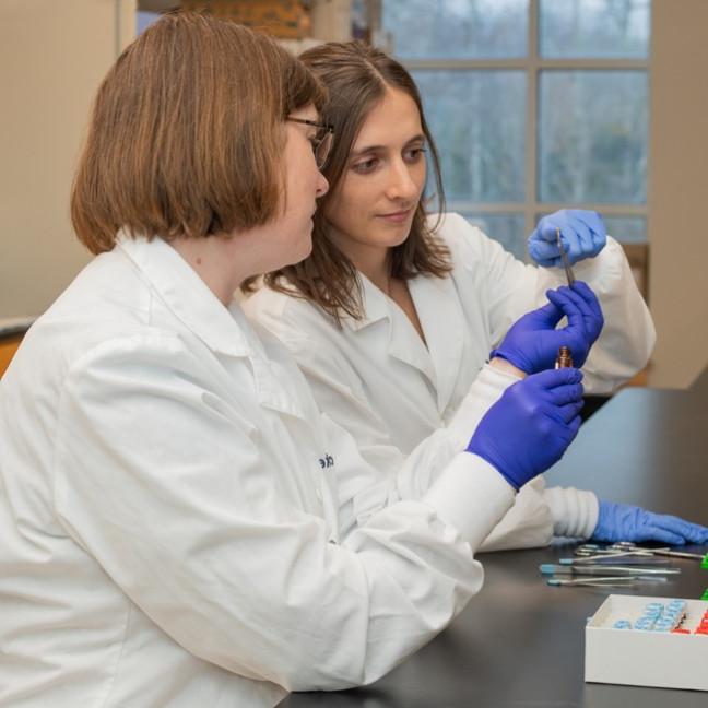 A researcher and assistant look at mouse bones